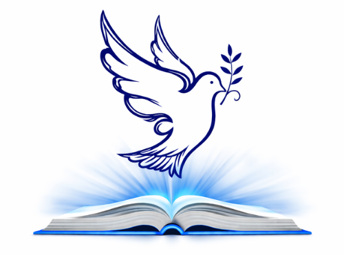 logo un camino de luz